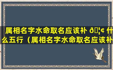 属相名字水命取名应该补 🦢 什么五行（属相名字水命取名应该补什么五行的字）